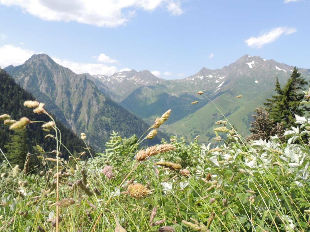 Studio Pour 4 Personnes Au Centre De Cauterets, Proche Telecabines Et Thermes - Fr-1-234-269 ภายนอก รูปภาพ